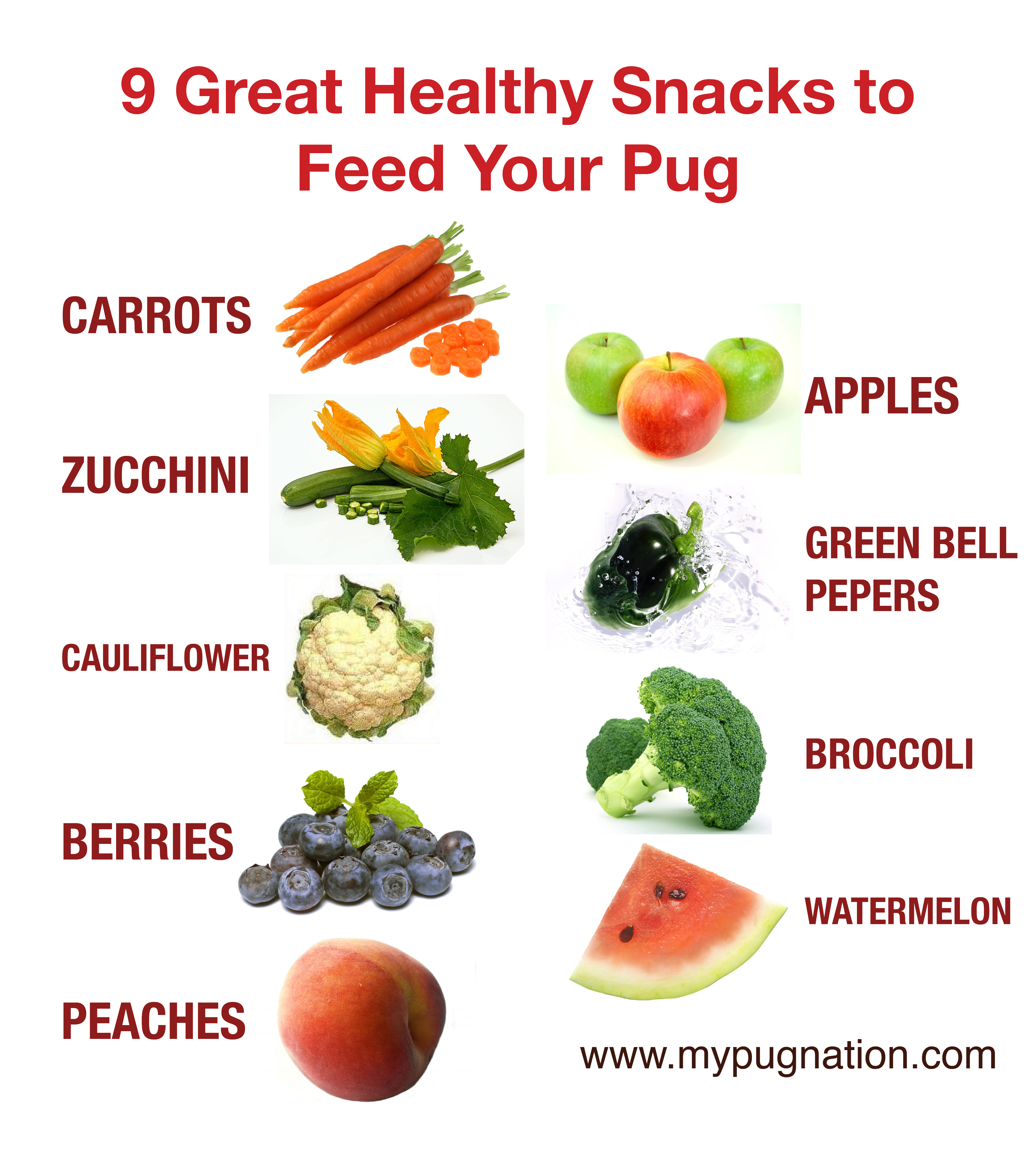 9 nine Good healthy snacks to feed your pug dog