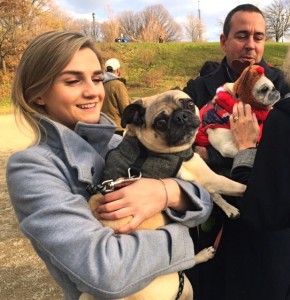 Owners hold up their pugs at the Novemeber 2016 Toronto Pug Grumble