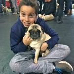 Little boy and his pug at the Pugalug Pug Claus Christmas Party
