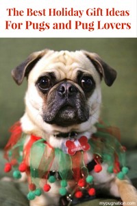 Santa Pug Brings you The Best Holiday Gift Ideas For Pugs and Pug Lovers