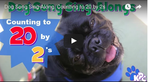 New Dog SongSing-Along Video with Kilo the Pug